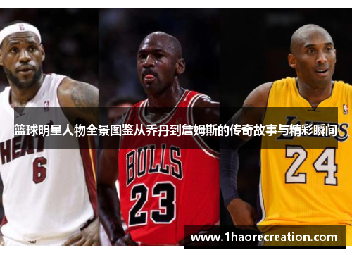 篮球明星人物全景图鉴从乔丹到詹姆斯的传奇故事与精彩瞬间