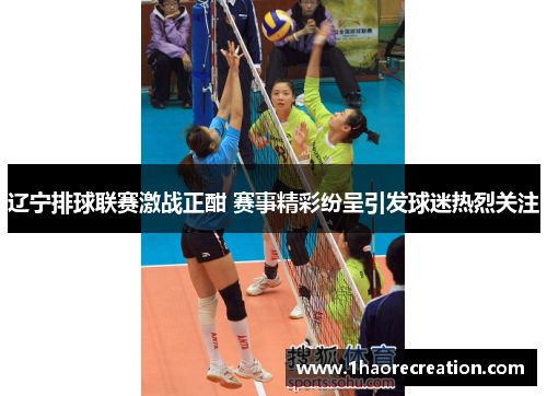 辽宁排球联赛激战正酣 赛事精彩纷呈引发球迷热烈关注